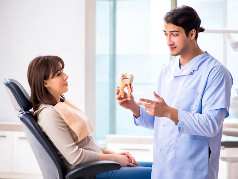 Dentist explaining root canal anatomy to a patient using a tooth model